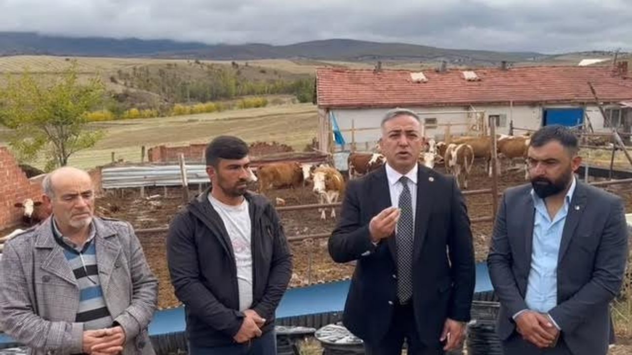 Milletvekili Tahtasız: Hayvancılıkta Tehlike Çanları Çalıyor