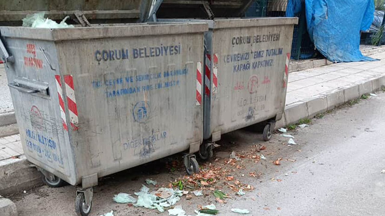 Konteyner Dışına Sürekli Dökülen Pislik “Yeter Artık “ Dedirtti