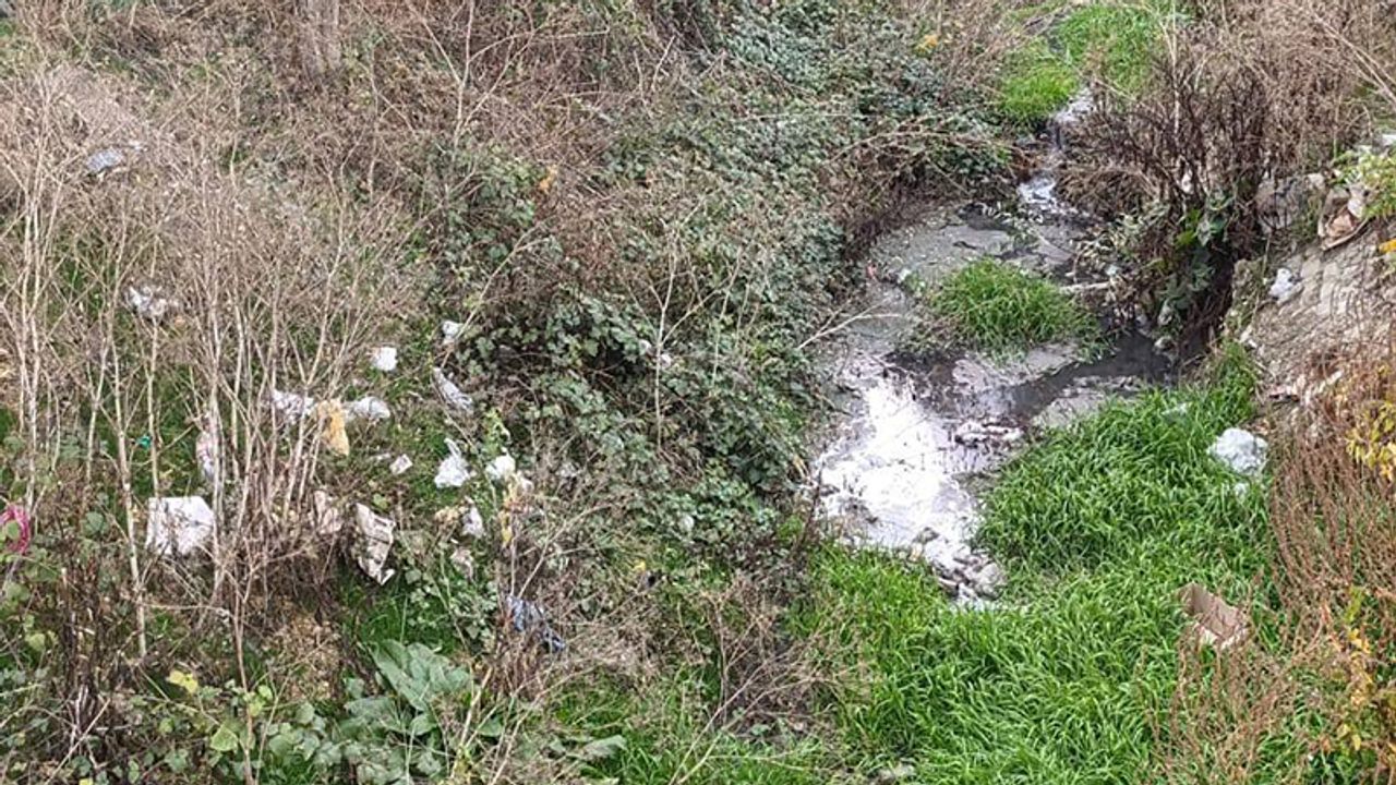 Mecitözü Belediyesi’nden Dere Temizliği