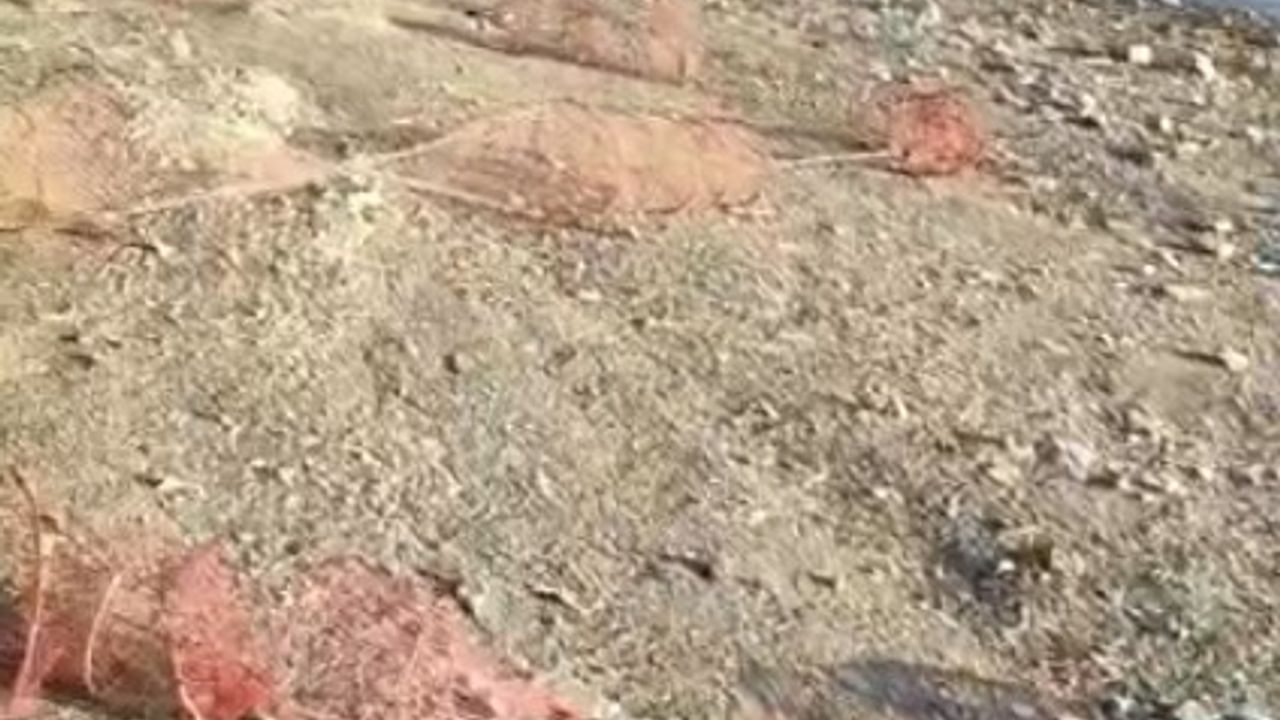 Barajda Sepet Ağ Skandalı!