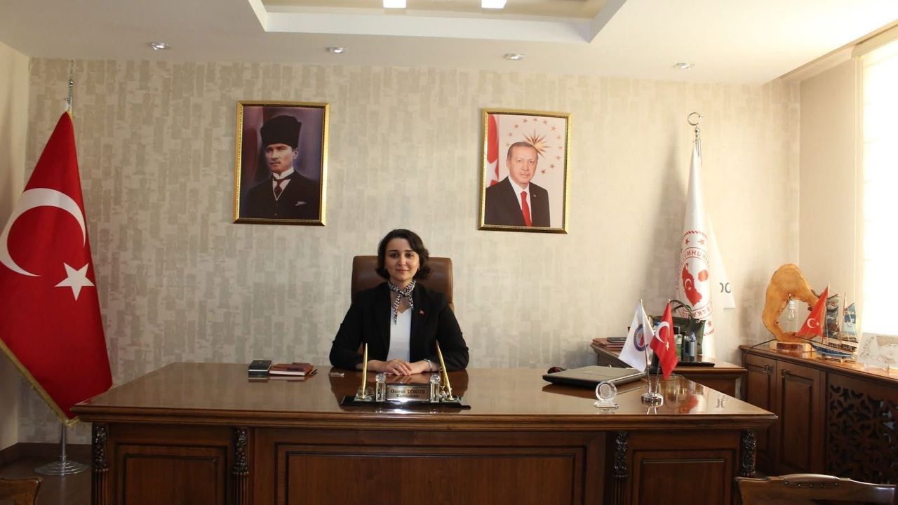 Dodurga Kaymakamı Tokur, Göreve Başladı