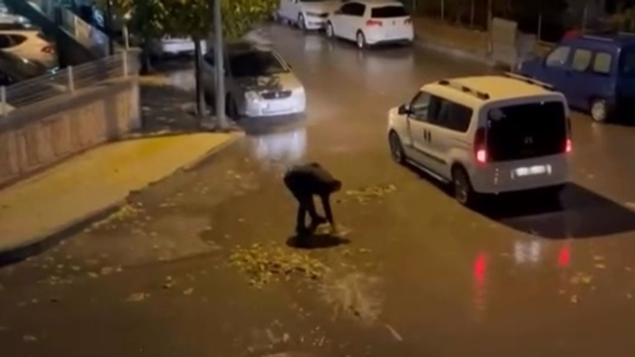 Helal Olsun Sana!