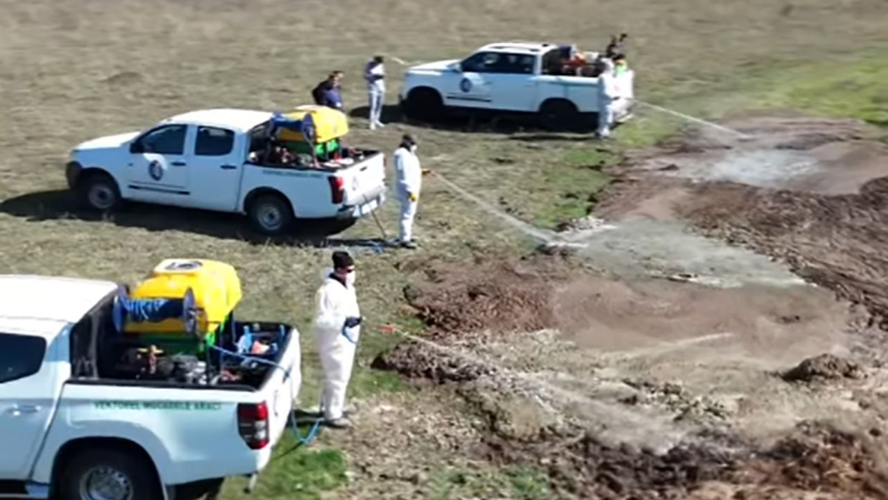 Çorum’da Sinekle Mücadele Devam Ediyor