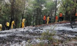 Çorum'da Orman Yangını: 1 Hektar Alan Kül Oldu!