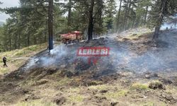 Ormanlık Alandaki Yangın Büyümeden Söndürüldü