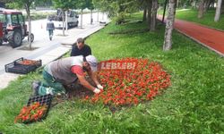 Çorum, Gül Bahçesine Dönüyor