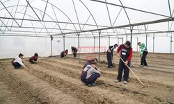 Öğrenciler Lise Bahçesinde Kurulan Serada Uygulamalı Tarım Eğitimi Görüyor