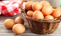 Yumurta Fiyatları Neden Bir Anda İki Katına Çıktı? İşte Perde Arkası