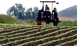 Çiftçilere Yaklaşık 6,7 Milyar Lira Destek Ödemesi Bugün Yapılacak