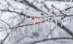 Meteorolojiden Zirai Don Uyarısı