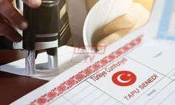 Tapuda Vergi Kaçıranlar Bakanlığın Radarında