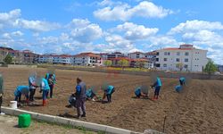 Yeşeren Umutlar Projesi Tamamlandı