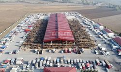 Kurban Pazarı Bugün Açıldı