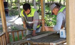 Yeşil Göl Mesire Alanında Kamelyalar Onarılıyor