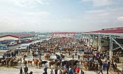 Çorum’da Hayvan Pazarları Bayrama Kadar Kapatıldı