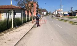 Osmancık Belediyesi Sokakları Yabani Ottan Temizledi