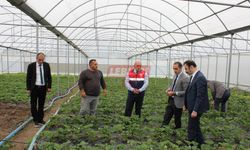 Kaymakam Polat, Örübağ ve Şeyh Köyü’nde İncelemelerde Bulundu