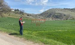 Arazide Parsel Belirleme Süreci Devam Ediyor