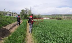 İl Tarım ve Orman Müdürlüğü Ekipleri Saha Çalışmalarını Sürdürüyor
