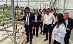 İl Genel Meclisi Üyeleri Tıbbi Aromatik Bitki Üretim Tesisini İnceledi