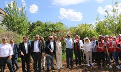 Çorum’da Kenevir Ekimi Yaygınlaşıyor