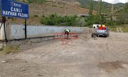 Bayat Hayvan Pazarında Aydınlatma Yapıldı