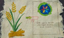 Çeltik Sapları İle Kağıt Ürettiği Projesi İle Birinci Oldu
