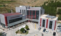 İneğe Çarpan Otomobilin Sürücüsü Yaralandı