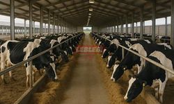 Çorum’da 4 Projeye 33.9 Milyon TL Hibe Verilecek