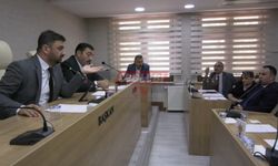 CHPli Akgül, İl Genel Meclisi Başkanı Temur’u Taraflı Olmakla Suçladı