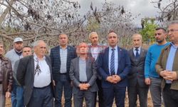Dinçer Solmaz, “Ceviz Üreticilerinin Ayırım Olmaksızın Zararı Karşılanmalı”