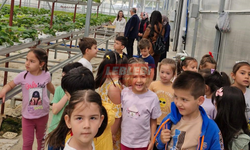Minikler Tıbbi Aromatik Bitkiler Serasında Hem Eğlendi Hem Öğrendi