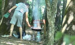 Ormanda Mangal Yapmak Yasaklandı