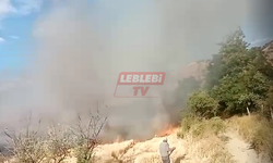 Biçerdöverin Kıvılcımı Ekili Araziyi Yaktı
