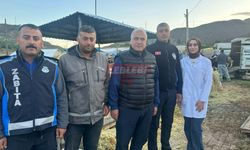İskilip Hayvan Pazarı Bayram Öncesi Hem Kalabalık, Hem Düzenli