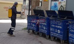 Alaca Belediyesi Haşere İle Mücadeleye Başladı