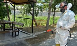 Sungurlu Belediyesi’nden Kene İçin Önlem