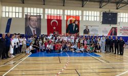 Satranç Takım Yarışmaları Tamamlandı