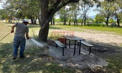 Kargı Belediyesi’nden Keneye Karşı Önlem
