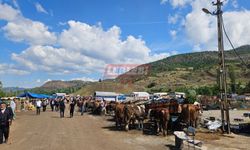 Bayat İlçesinde Kurban Pazarında Hareketlilik Sürüyor