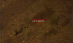 Salı Pazarı Civarında Mide Bulandıran Görüntüler