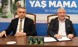 Aşgın ve Çöplü Danimarka Yolcusu: Meclis Onayı Bekleniyor