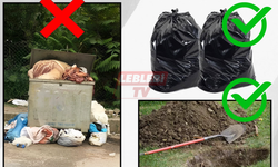 Kargı Belediyesi Kurban Atıkları Hakkında Dikkatli Olunmasını İstedi