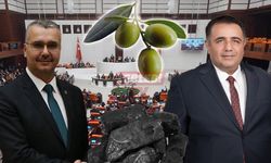 Zeytinlikleri Yok Edeceği Belirtilen O Yasa Bu Hafta Görüşülmeye Başlıyor