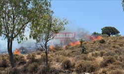 Bodrum'da Makilik ve Otluk Alanda Çıkan Yangına Müdahale Ediliyor