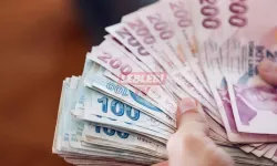 Yurtdışından Geri Gelecek Bilim İnsanlarına 3980 Euro Maaş