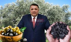 “Halkın Vekili Halkın Karşısında mı?”: Oğuzhan Kaya’ya Zeytinlik Sorusu