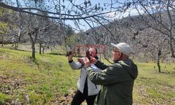 TARSİM, Zirai Dondan Etkilenen Üreticilerine Ödeme Yaptı