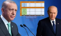 Erdoğan ve Bahçeli'nin Yüzünü Güldürecek Anket