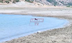 Sıcaktan Bunalan Köpek Barajda Serinlemeye Çalıştı